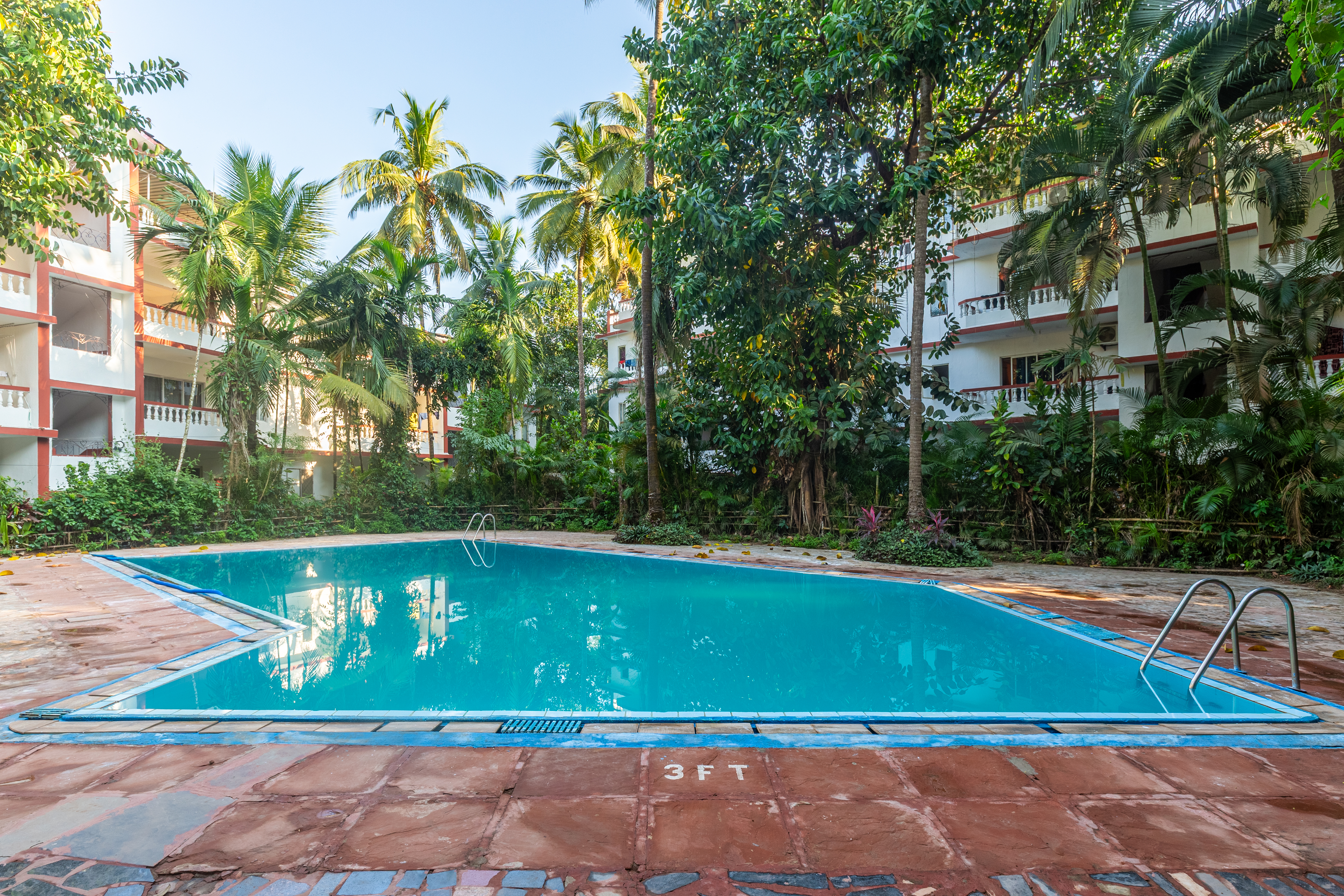 Swimming pool surrounded by palms